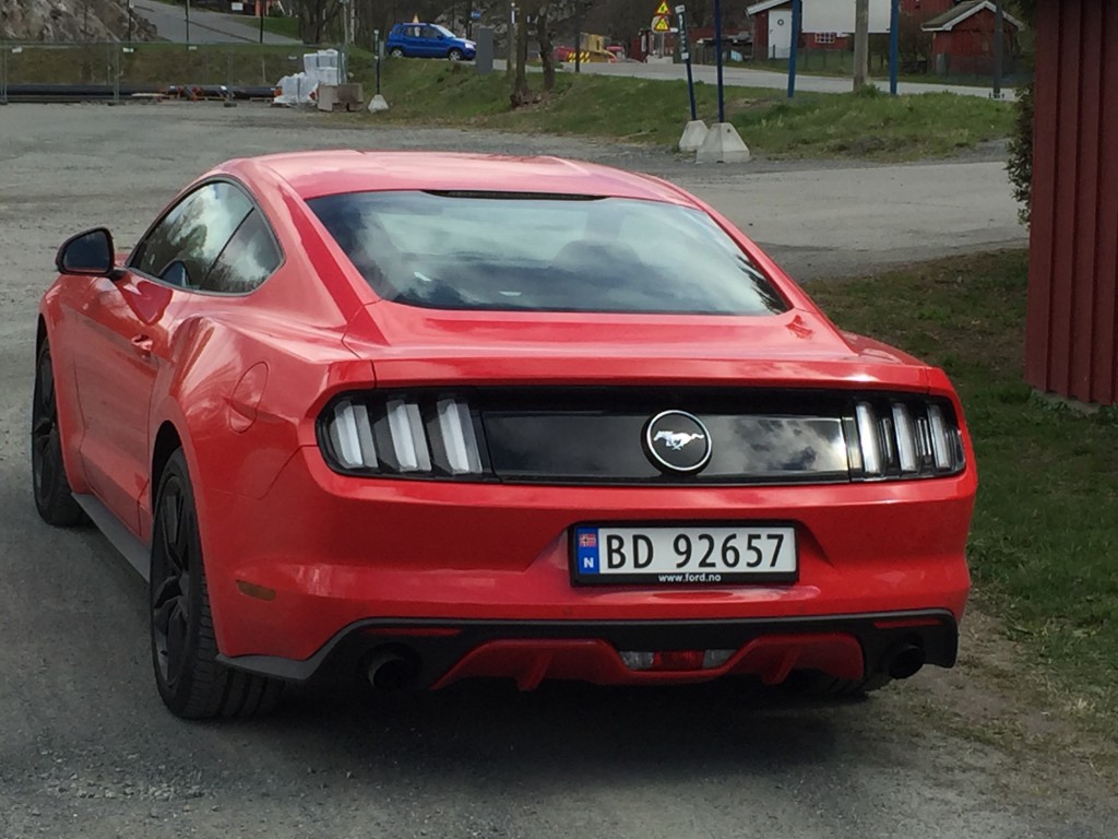 Mustang 5 kopi