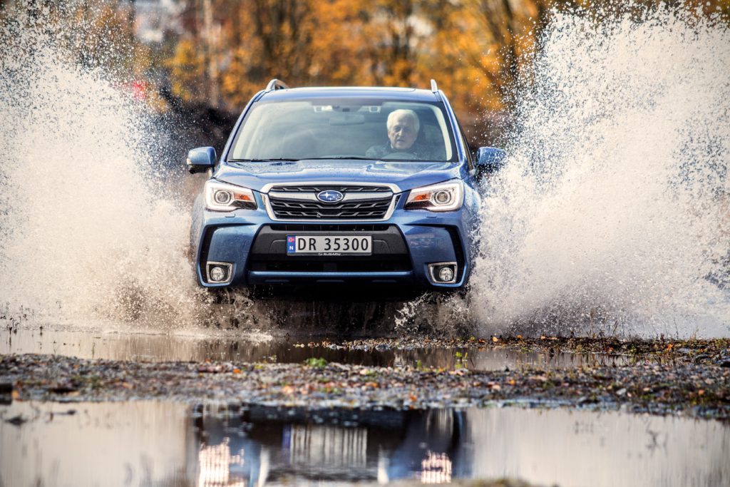 Forester 6